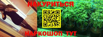 индика Нягань