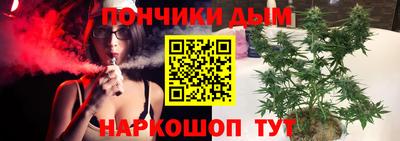индика Нягань