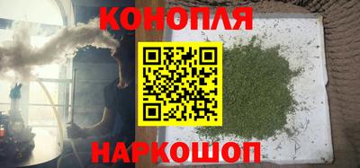 индика Нягань